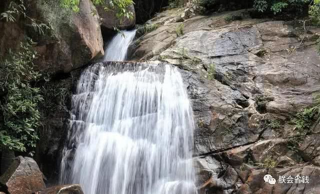 深耕年货场景11年 百草味年的味道坚果礼盒荣获“年度产品”奖